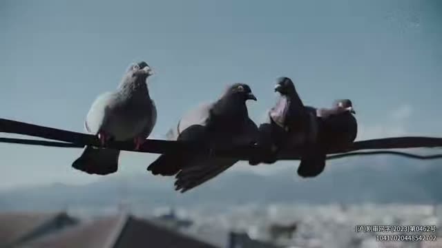 重启人生_第01集_片段01