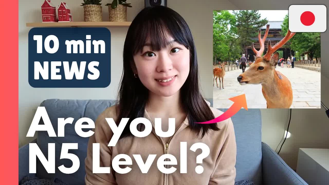 002 - JLPT N5 Japanese Listening Practice 🇯🇵 Easy Japanese News ｜ Salary Gender Gap