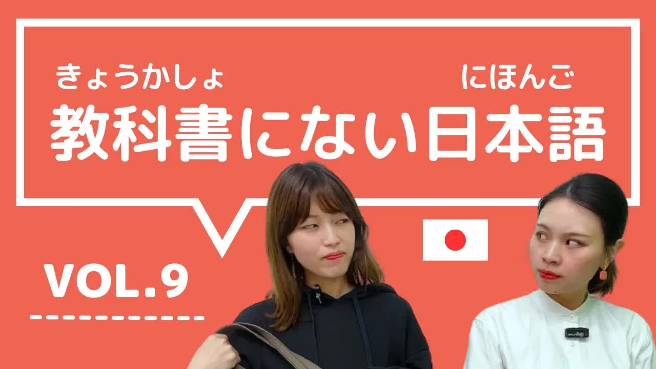 009 - 【教科書にない日本語🇯🇵】vol.9　これ知ってる？日本人が会話でよく使う言葉「ざら ⧸ 首を突っ込む ⧸ そっけない ⧸ バチバチ ⧸ キリがない」